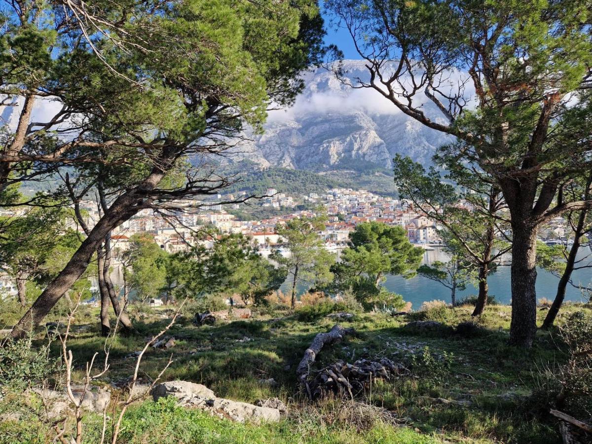 Apartment Villa Mirna Makarska Kültér fotó