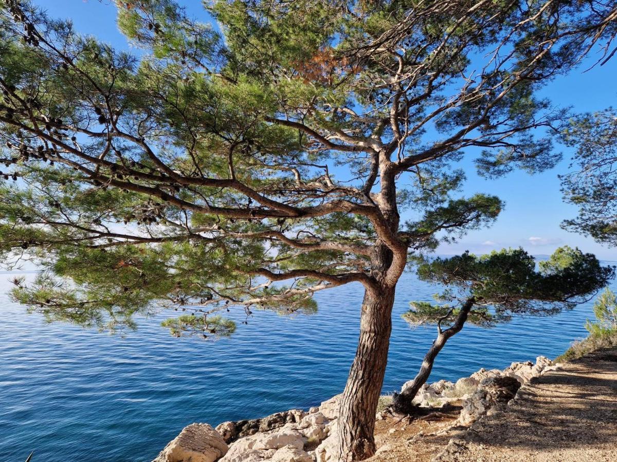 Apartment Villa Mirna Makarska Kültér fotó