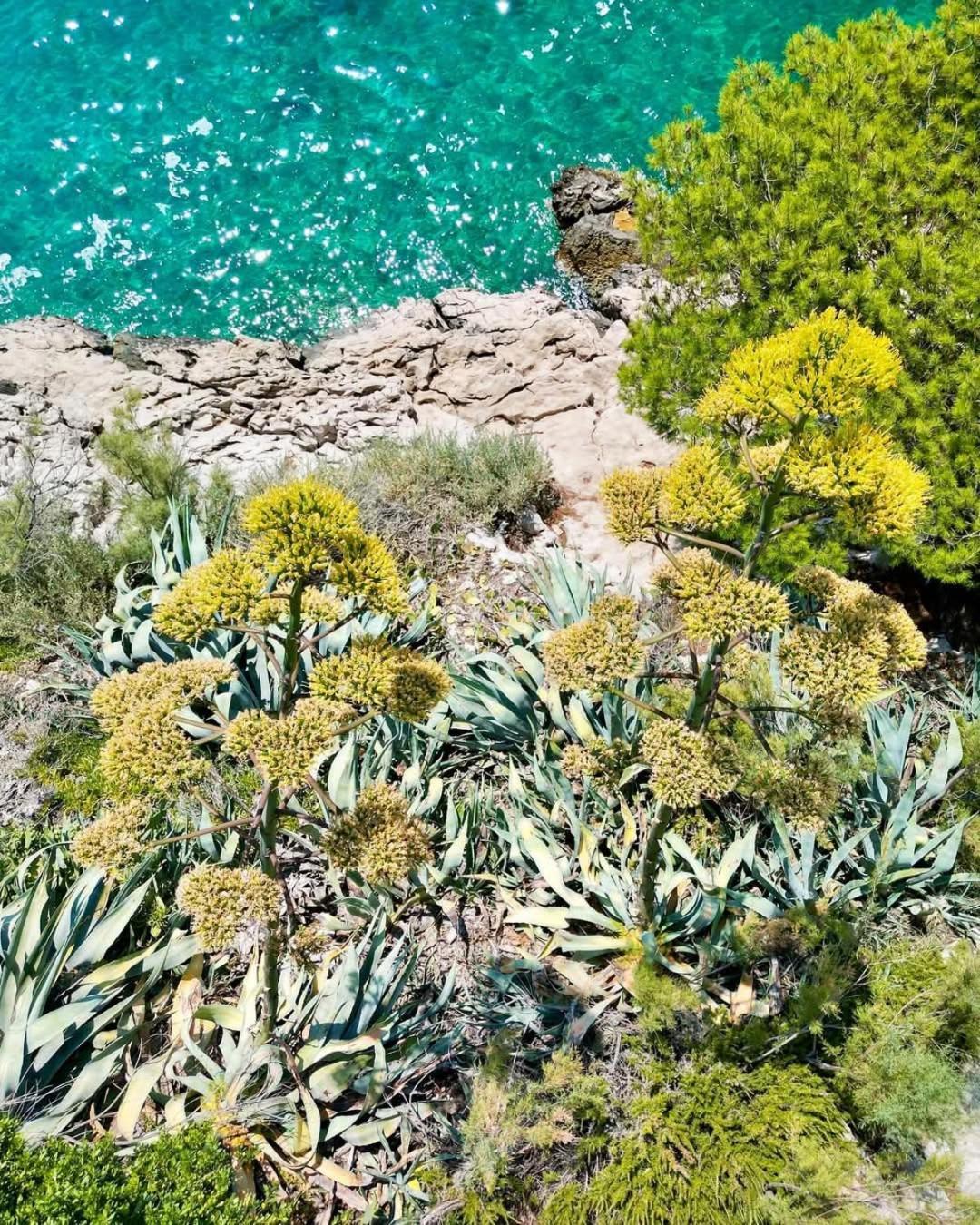 Apartment Villa Mirna Makarska Kültér fotó